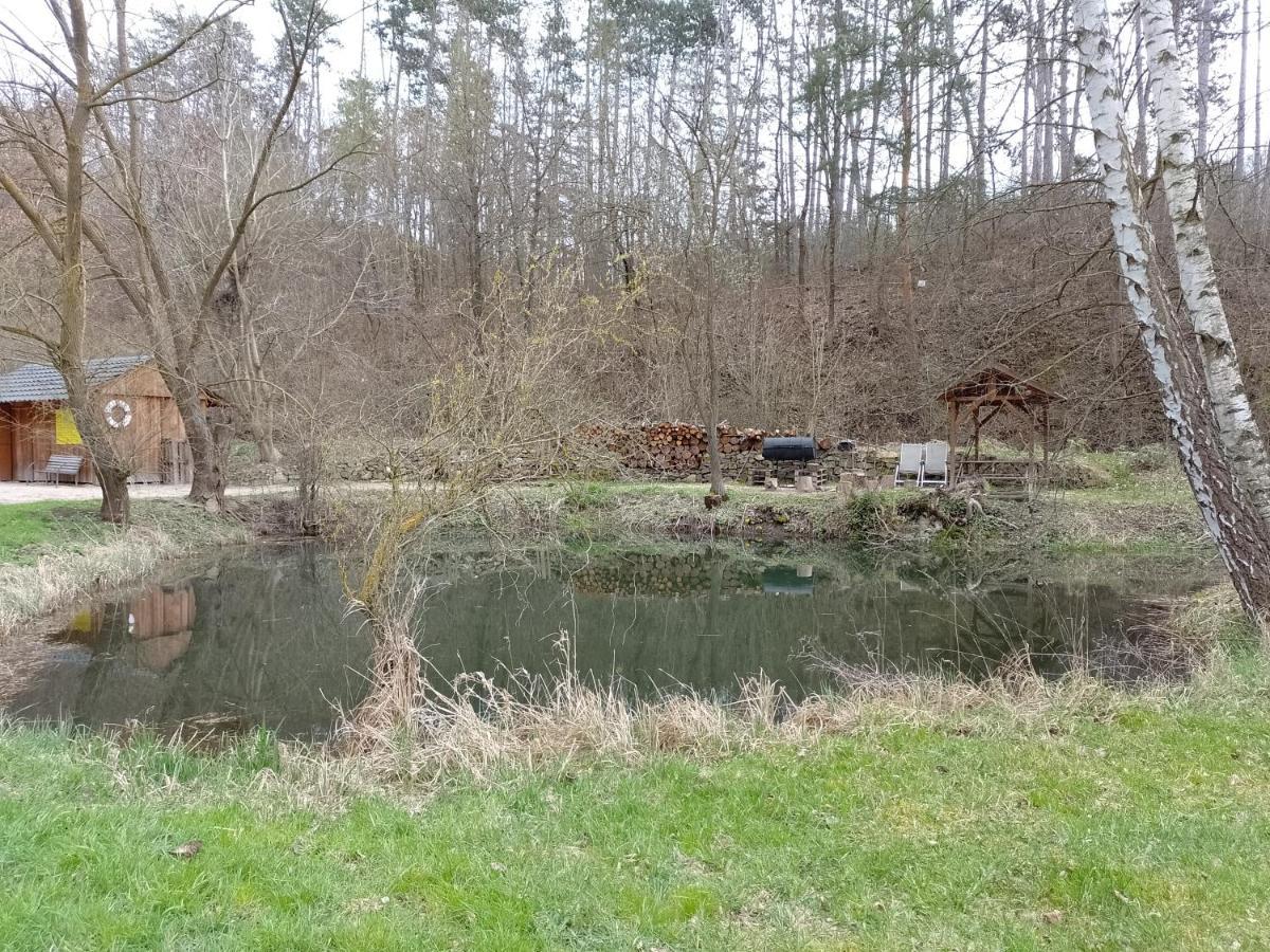 Penzion Litohlavy 17 - Na Samote U Lesa Kraluv Dvur Экстерьер фото
