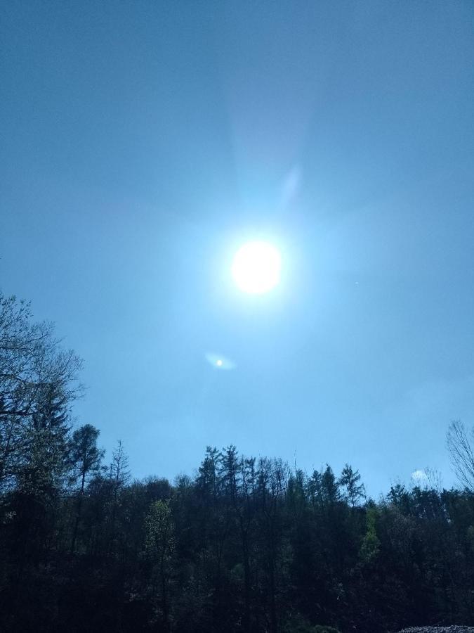 Penzion Litohlavy 17 - Na Samote U Lesa Kraluv Dvur Экстерьер фото