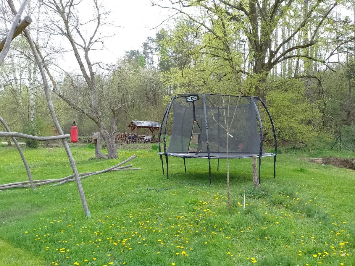 Penzion Litohlavy 17 - Na Samote U Lesa Kraluv Dvur Экстерьер фото
